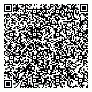 vCard 78123330959