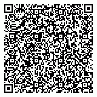 vCard 78123330999