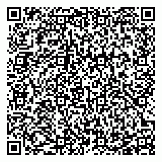 vCard 78123331002