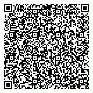 vCard 78123331041