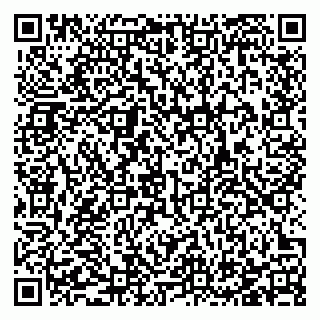 vCard 78123338121