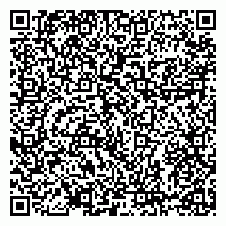 vCard 78123338133