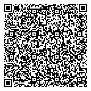 vCard 78123338251