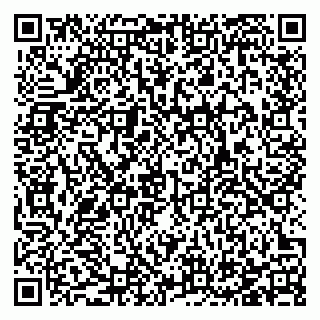 vCard 78123338321