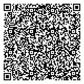 vCard 78123359381