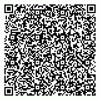 vCard 78123360331