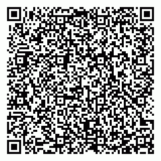 vCard 78123360381