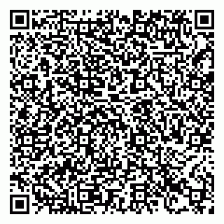 vCard 78123380875