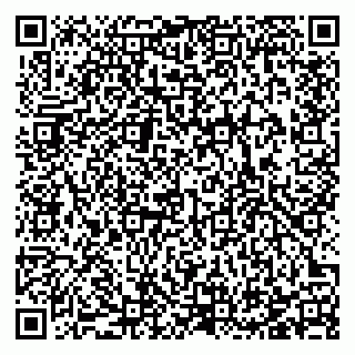 vCard 78123380881