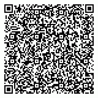 vCard 78123380889