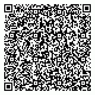 vCard 78123380919