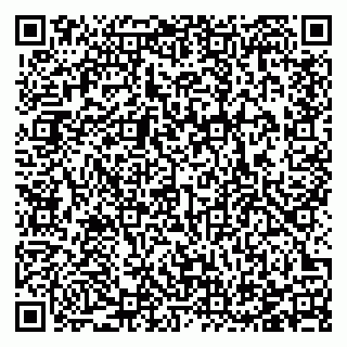 vCard 78123380931