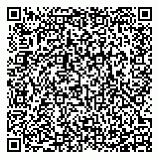 vCard 78123380937