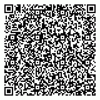 vCard 78123380977