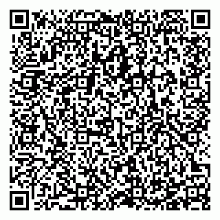 vCard 78123380981