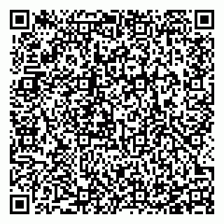 vCard 78123380985