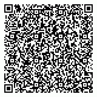 vCard 78123380989