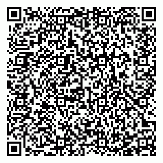 vCard 78123380993