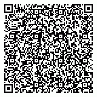 vCard 78123393541