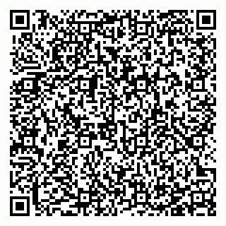 vCard 78123749021