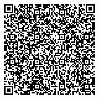 vCard 78123802951