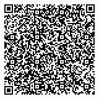vCard 78123803729