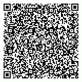 vCard 78123803733