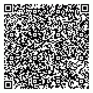 vCard 78123804379