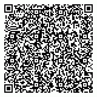 vCard 78123821340