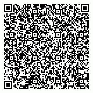vCard 78123821385