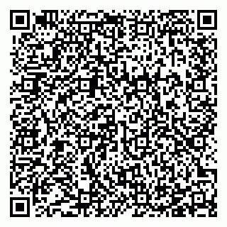 vCard 78123821541