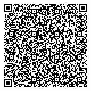vCard 78123869931