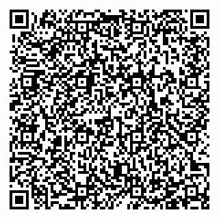 vCard 78123890317