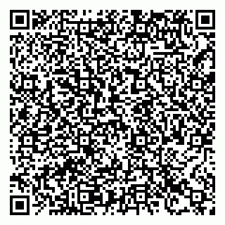 vCard 78123890331