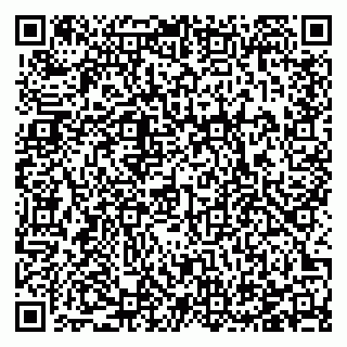 vCard 78123890337