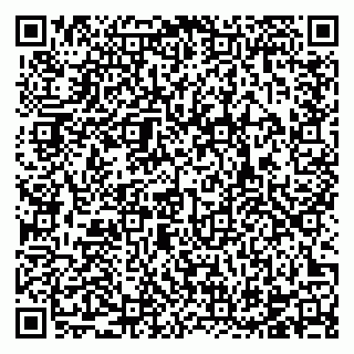 vCard 78124068503