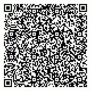 vCard 78124068733