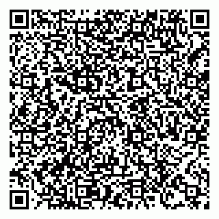 vCard 78124080973