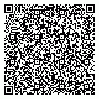 vCard 78124080977