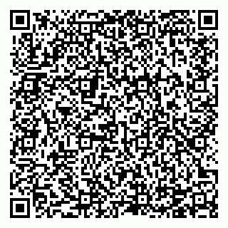 vCard 78124081381