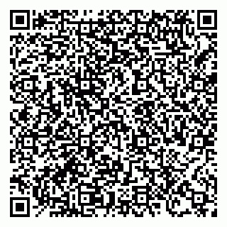 vCard 78124081633