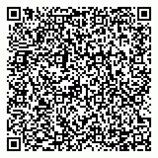 vCard 78124082560