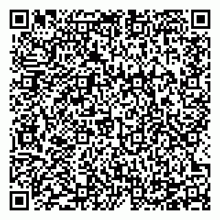 vCard 78124084704