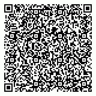 vCard 78124085322