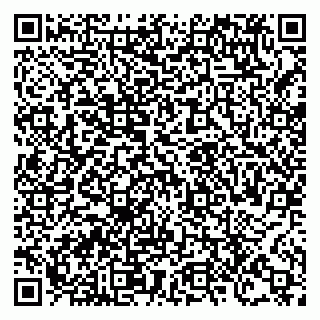 vCard 78124085873