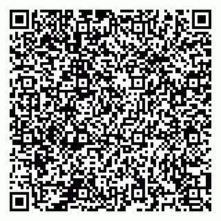 vCard 78124085904