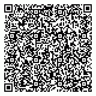 vCard 78124088101