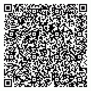 vCard 78124097104