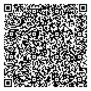 vCard 78124097152
