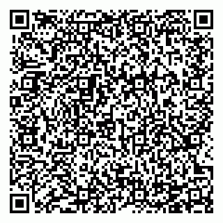 vCard 78124097216